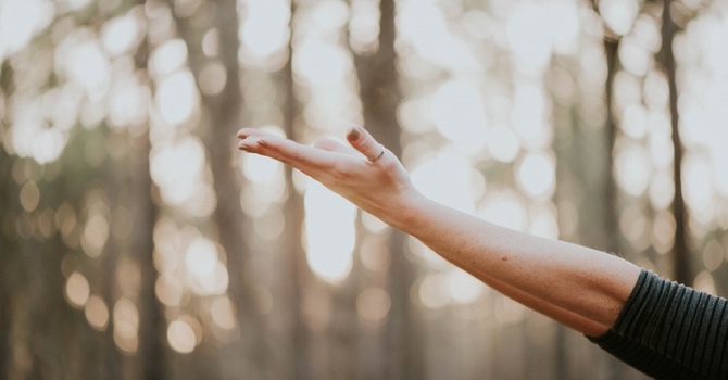 Clinical Telepsychology Services